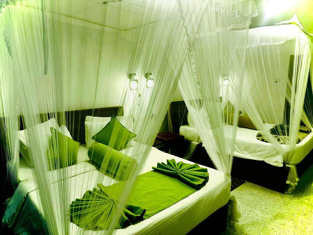 Shining Green View เอลลา ภายนอก รูปภาพ